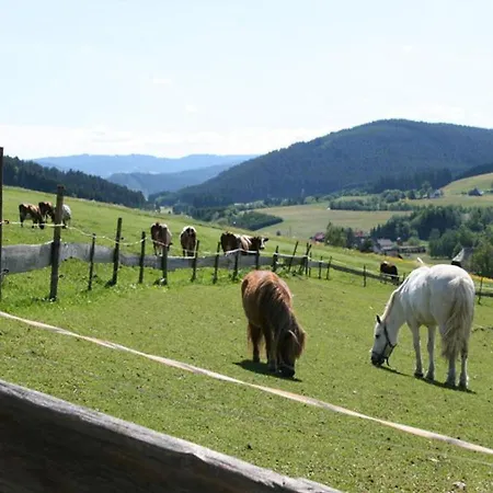 Bio- Kinderbauernhof- Wilmershof Titisee-Neustadt