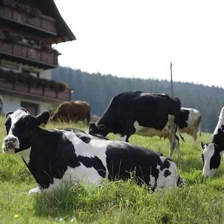 Bio- Kinderbauernhof- Wilmershof Vakantieboerderij *